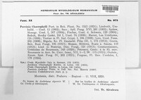 Puccinia chaerophylli image